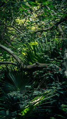 Jungle in Tulum - obrazy, fototapety, plakaty