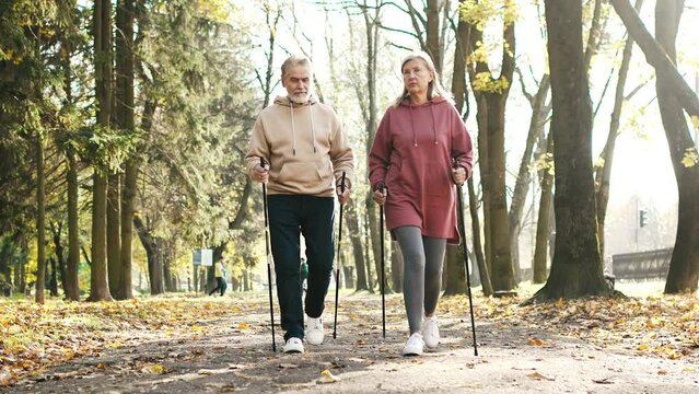 Happy lovely couple of active grey-haired retired senior man walking hiking with sporty mature beautiful woman using trekking poles strolling in autumn park. Sporting activities concept.