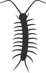 Centipede Insect black silhouette icon