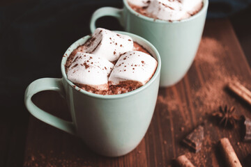 Hot chocolate drink with marshmallow in a cup on wooden board, dark background
