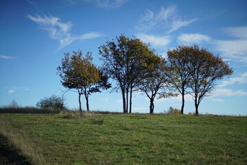 Fototapeta na wymiar Baugruppe auf offenem Feld, Herbstwetter bei Sonnenschein und mit schönem blauen Himmel