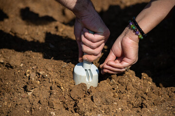 Hands sowing seeds into the soil