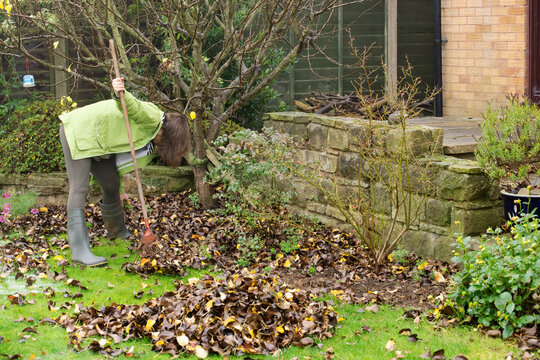 Weeding and raking the back garden in Autumn.