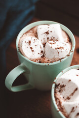 Hot chocolate drink with marshmallow in a cup on wooden board, dark background