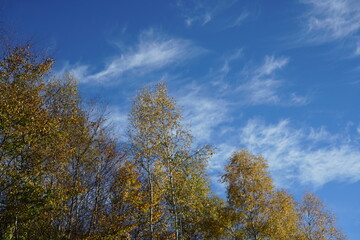 Fototapeta na wymiar Herbst Wetter bei Sonnenschein und mit schönem blauen Himmel