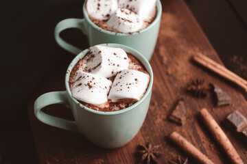 Hot chocolate drink with marshmallow in a cup on wooden board, dark background