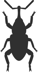 weevil black silhouette icon