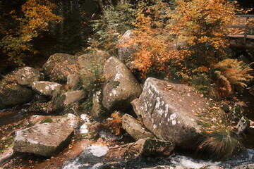 Steinerne Renne im Herbst