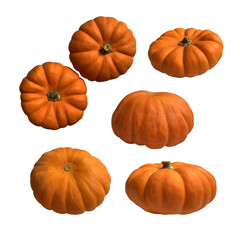 Mini yellow pumpkin vegetable set seasonal image for autumn holiday thanksgiving and halloween design isolated on the white background, clipping path