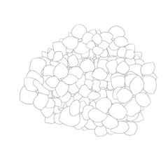 3d render of a molecule