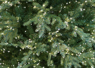 Close up on Christmas tree with light