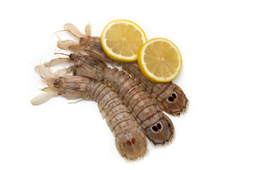 Three mantis shrimp with lemon slices isolated on white background. The Squilla mantis is a species of stomatopod crustacean in the Squillidae family.