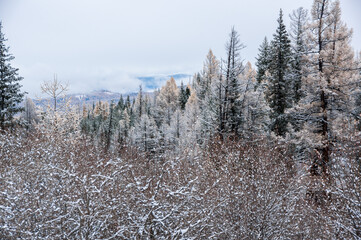 View of Ulagan Highlands in Altay mountains