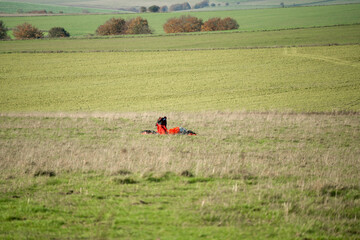 A parachutist gathering the parachute having landed in a grass meadow
