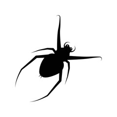 Spider tarantulas arachnid insect icon | Black Vector illustration |