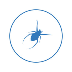 Spider tarantulas arachnid insect icon | Circle version icon |