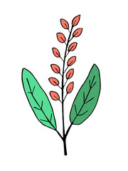 Plant drawing, modern design. Abstract Plant Art design for print, cover, wallpaper. PNG illustration