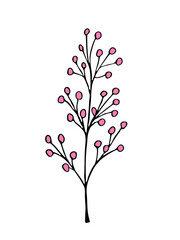 Plant drawing, modern design. Abstract Plant Art design for print, cover, wallpaper. PNG illustration