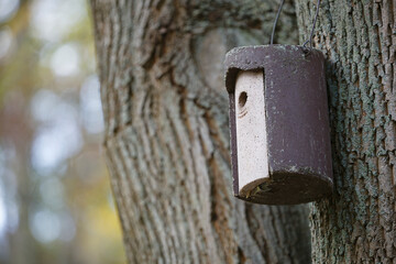 old concrete birdhouse. autumn park