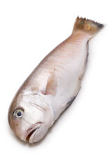 White tilefish ( In Japan, a high-class fish is called 
