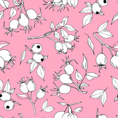Drawn branches of a wild rose. Pattern from branches on a pink background. Berries. Fruit. Autumn. Rose. Seamless vector pattern. Branches set. Silhouette. Dog rose sketch.