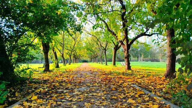 Autumn day in an urban park, Milan, Italy
