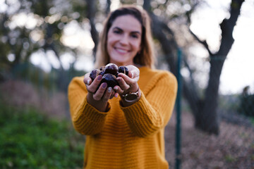 Young woman enjoying autumn picking chestnuts in a yellow sweater at sunset