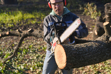 Work on sawing wood. A man with a chainsaw. Selective focus.