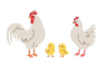 Set of domestic fowl - chick and roster. Vector contour illustration.