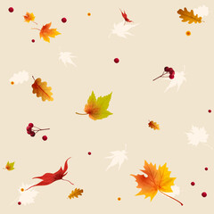 Thanksgiving autumn background with maple leaves with red berries 