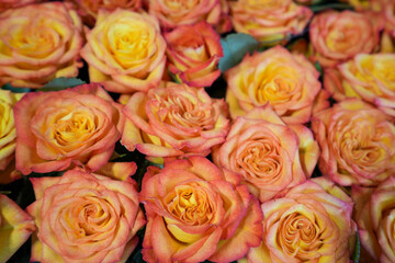 Großer Blumenstrauß aus orangenen Rosen