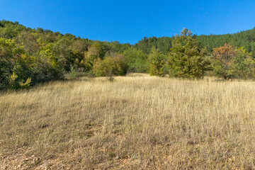 Autumn view of Nishava river gorge, Bulgaria