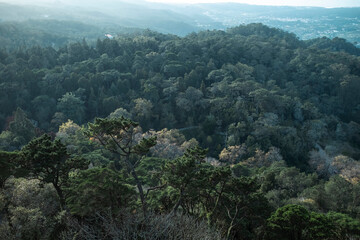 Obraz na płótnie Canvas View of the national park in Sintra, Portugal.
