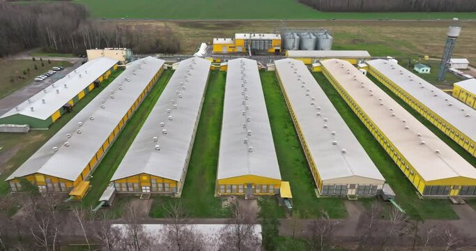 aerial flight near silos and agro-industrial livestock complex on agro-processing and manufacturing plant with modern granary elevator. chicken farm. rows of chicken coop