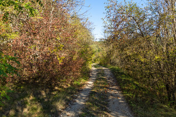 Autumn view of Nishava river gorge, Bulgaria