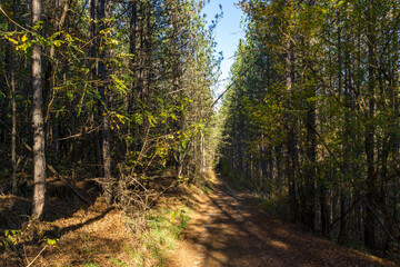 Autumn view of Nishava river gorge, Bulgaria