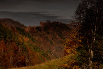 Autumn nature landscape at Scarita Belioara reservation in Apuseni Mountains, Romania