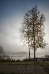 Nebel am See