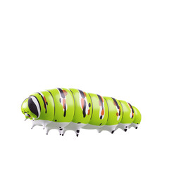 Cartoon 3D model fat caterpillar green and white with yellow and black pattern Cartoons enhance children's learning 3D rendering worm illustration with clipping path isolated on green backgrounds