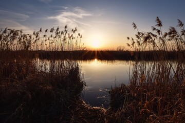 Beautiful summer landscape. Dry tree and grass reflecting in the river.