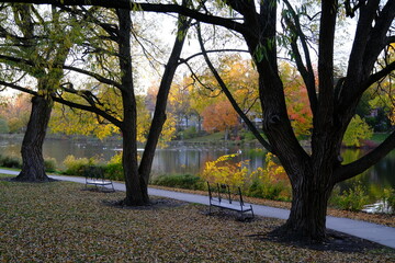 Empty benches in the evening in the autumn park in front of the river