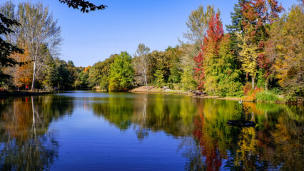 Autumn Landscape. Ataturk Arboretum. Colorful leafy trees. Sariyer, Istanbul, Turkey.
