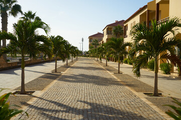 Fototapeta na wymiar A street with palm trees in the town of Santa Maria on the island of Sal in Cape Verde.