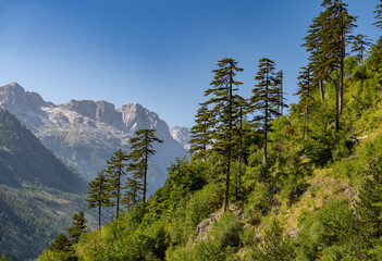 Accursed Mountains landscape, Albania, Valbone region.