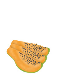 papaya fruit illustration
