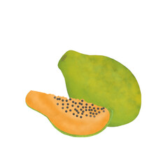 papaya fruit illustration