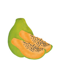 papaya fruit illustration