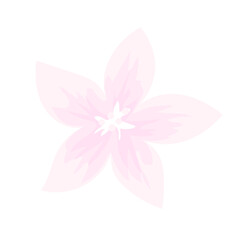 Pink flower illustration decoration - obrazy, fototapety, plakaty