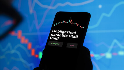 Un inversor está analizando el obbligazioni garantite stati uniti etf fondo en pantalla. Un...