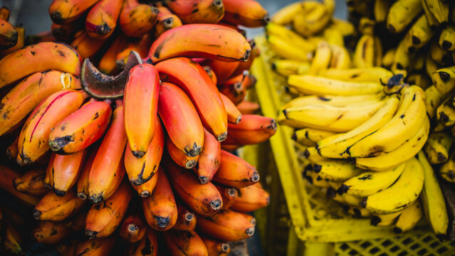 banana platano in local market in south latino America red and yellow fruit fresh organic healthy 